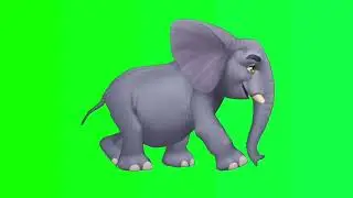 walking elephant green screen effect 