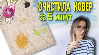 Как почистить ковер в домашних условиях: за 5 минут пятна больше не страшны