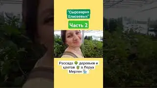 Рассада 🌳 деревьев и цветов 🪴 в Леруа Мерлен 🏪 / Сыроварня Елисеевых / Часть 2