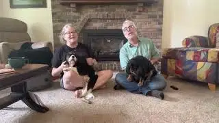 I Love My Dog(s)