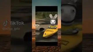anjay rabbit