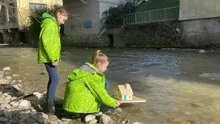 Firbcologi: gregorjevo