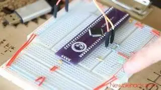 1. How to Program and Develop with ARM Microcontrollers - A Tutorial Introduction