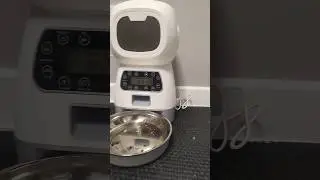 Кормешка для кота