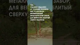 Ситуация на ЖД переходе #shorts