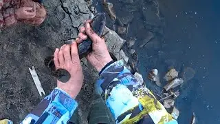 НАЛИМ НА ЗАКИДУШКУ - РЫБАЛКА С НОЧЕВКОЙ - ДОНКА СВОИМИ РУКАМИ