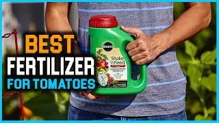 Top 6 Best Fertilizer Review for Tomatoes | Best Organic Fertilizer for Tomatoes [2023]