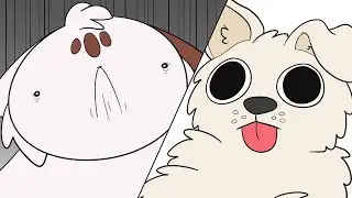 cat vs dog