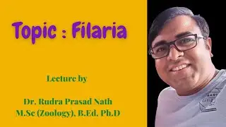 Filaria