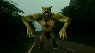 Wolf |wolf man| monsters| graphics |animation | wolf on green screen / palani road /vfx/3d