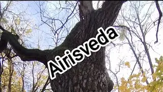 Обряд. За Язык 👅 Покарати. Наказание Сплетников.