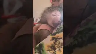 А мы всего лишь съездили в магазин 😁для Никуши это вечность ....