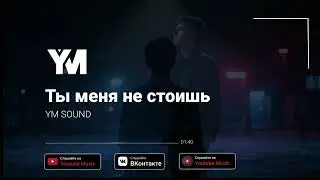 Ты меня не стоишь... #ym_sound