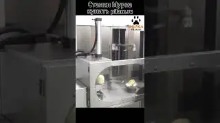 Мурка станок для очистки ананаса #pineapple  #peelingmachine pilam.ru