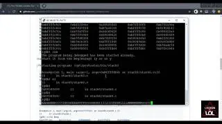 17 Stack   Variable Overwrite
