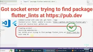 Got socket error trying to find package flutter_lints at 