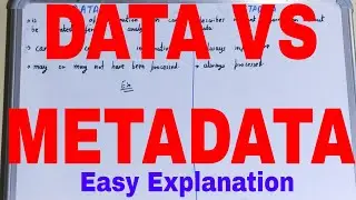 Data vs Metadata|Difference between data and metadata|Data and metadata differences|Data Metadata