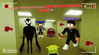 САМАЯ СТРАШНАЯ ИГРА В Shrek in the backrooms с Weimat | ROBLOX😱
