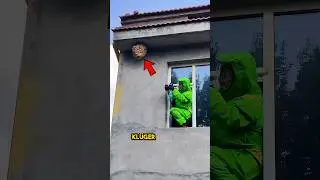 Zerstörte einen Wespenstock mit Feuer 😱