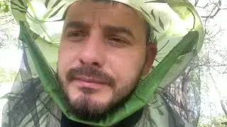 Рання весна. Прийом вощини хороший. Моя Карпатка показує хороший результат!