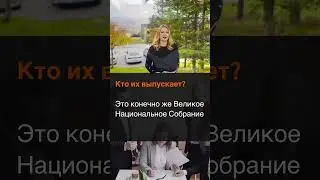 Что такое официальный вестник в Турции?