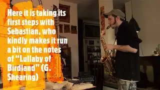 Ray Robotic Bass Guitar & Sebastian  -  Lullaby of Birdland