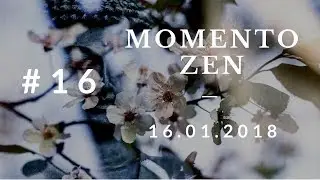 MOMENTO ZEN #16 - 16.01.2018