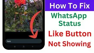 WhatsApp Status Like Option New Update | How to Fix WhatsApp Status Like Button Option Not Showing