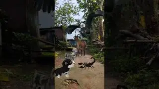 Scorpion Baby Dog Baby Cat And Goat Eagle #shorts #babycat #eagle