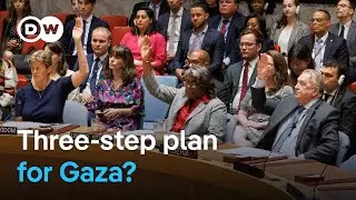 UN Security Council backs cease-fire plan | DW News