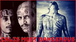 Who are the Ms 13? The insane story of the worlds most notorious gang| Mara Salvatrucha13 vs 18th st