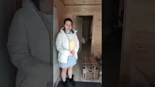 Генератор в подарок от компании-застройщика 