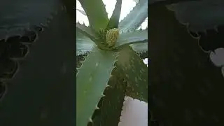 Вот это сюрприз.