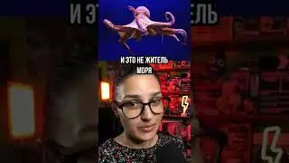 Эти слова нельзя гуглить. Интересные факты