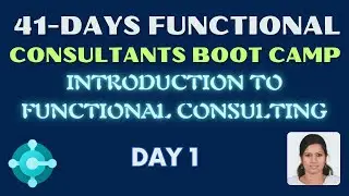 41 days functional consultant boot camp | Introduction to functional consulting | 