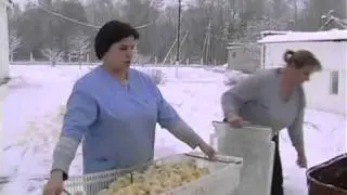 Курская катстрофа.