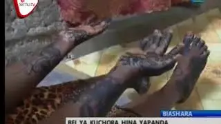 Bei Ya Kuchora Hina Yapanda