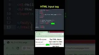 HTML input tag uses and guide 