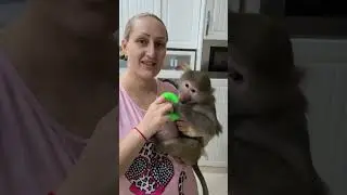Хорошо живётся нам ! Все мы делим пополам!🤣