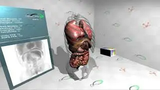 SofaAPAPI-Unity3D - Virtual Interactive XRay Simulation