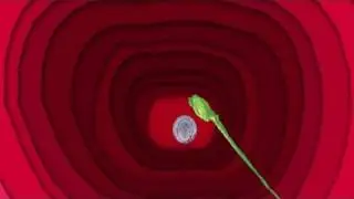 How To Increase Sperm Count