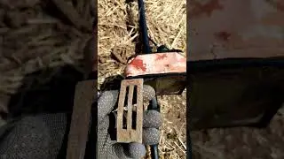 Находка неизвестного (?) баяна #коп #поискмонет