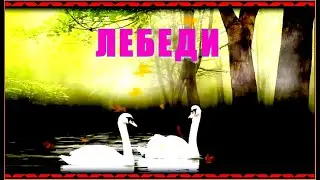 В.Агафонов и гр.