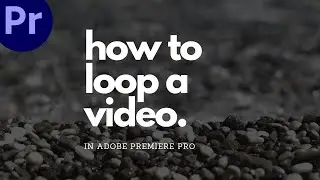 how to loop a video in adobe premiere pro