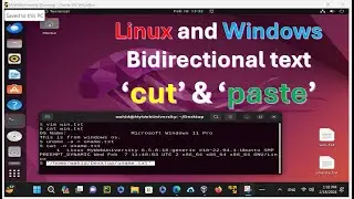 Linux and Windows Bidirectional text ‘cut’ & ‘paste.’