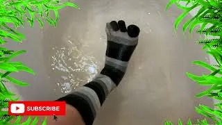 Wetlook - My funny cute socks! 😂