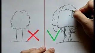 Как нарисовать Дерево (Ehedov Elnur) How To Draw A Tree