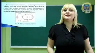 Сетевое и календарное планирование проекта