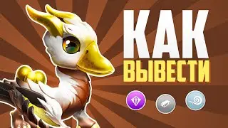 💛 КАК ВЫВЕСТИ ЗОЛОТОЕ ЯЙЦО ЗА 1 МИНУТУ В ИГРЕ ЛЕГЕНДЫ ДРАКОНОМАНИИ