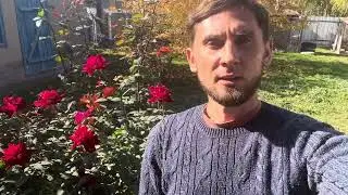 НЕ ТОРОПИТЕСЬ! Когда обрезать розы! 🌹